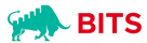 BITS Investment